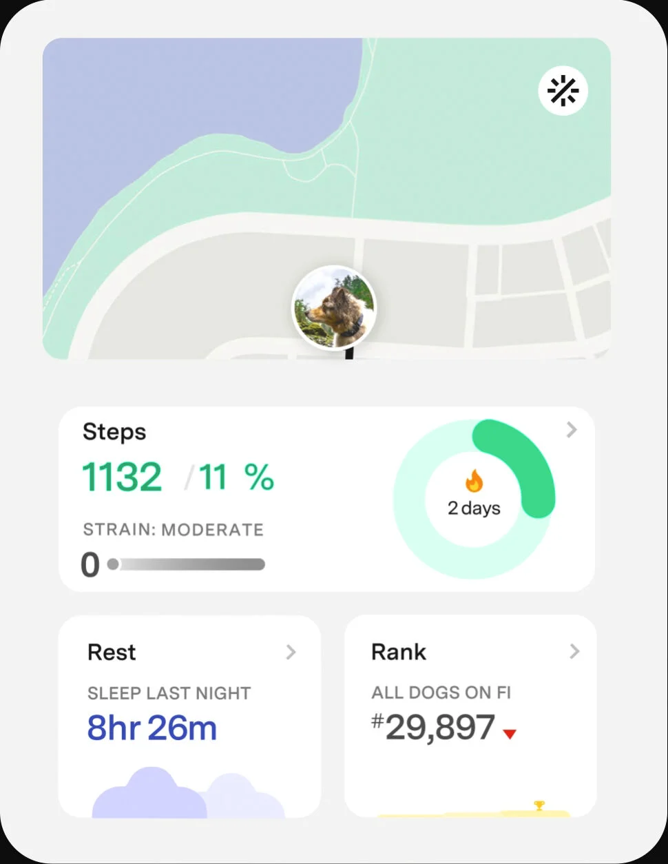 A simulation of the app UI, showing an overview of your dog's activity