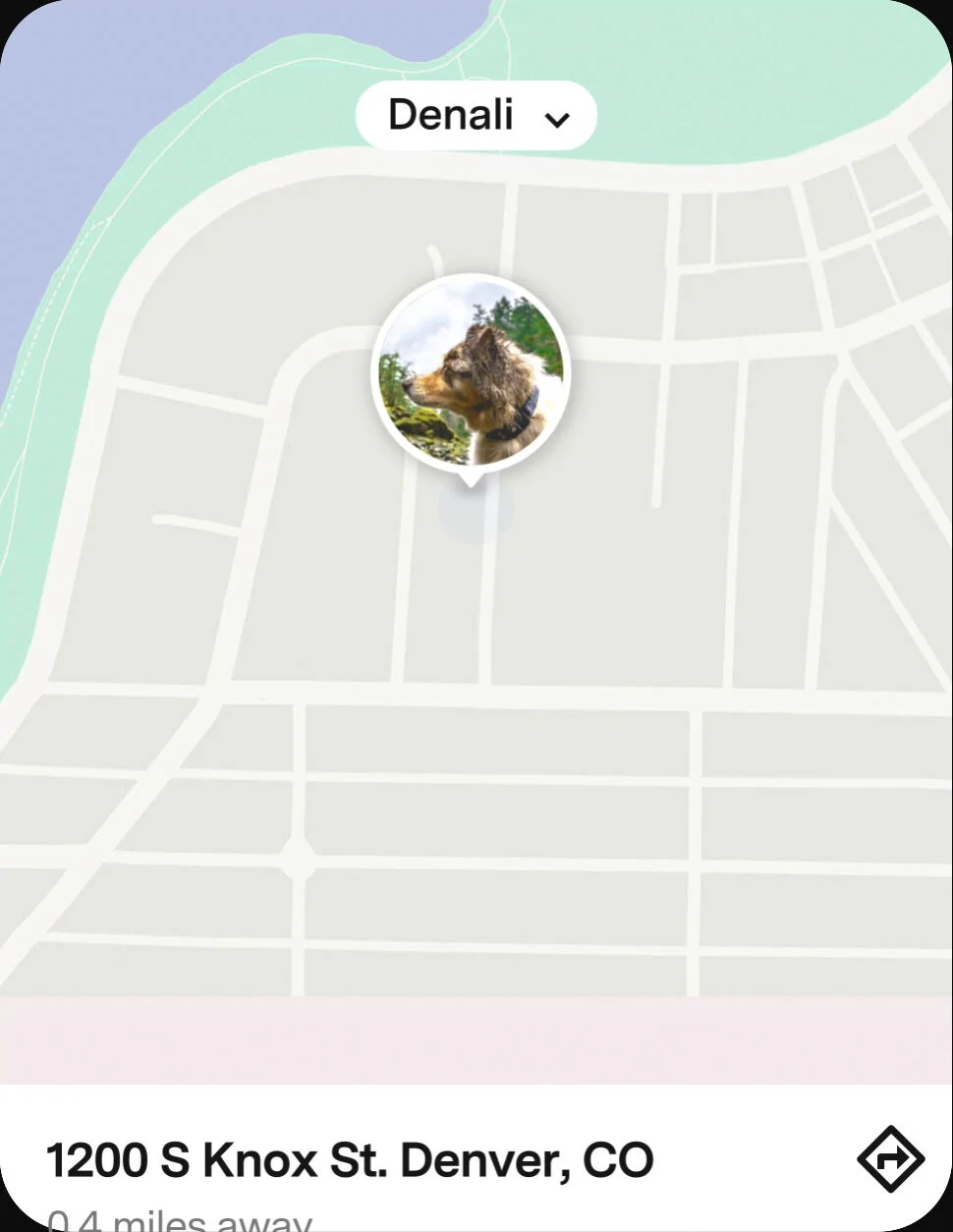 A lost dog located using the map in the Fi app