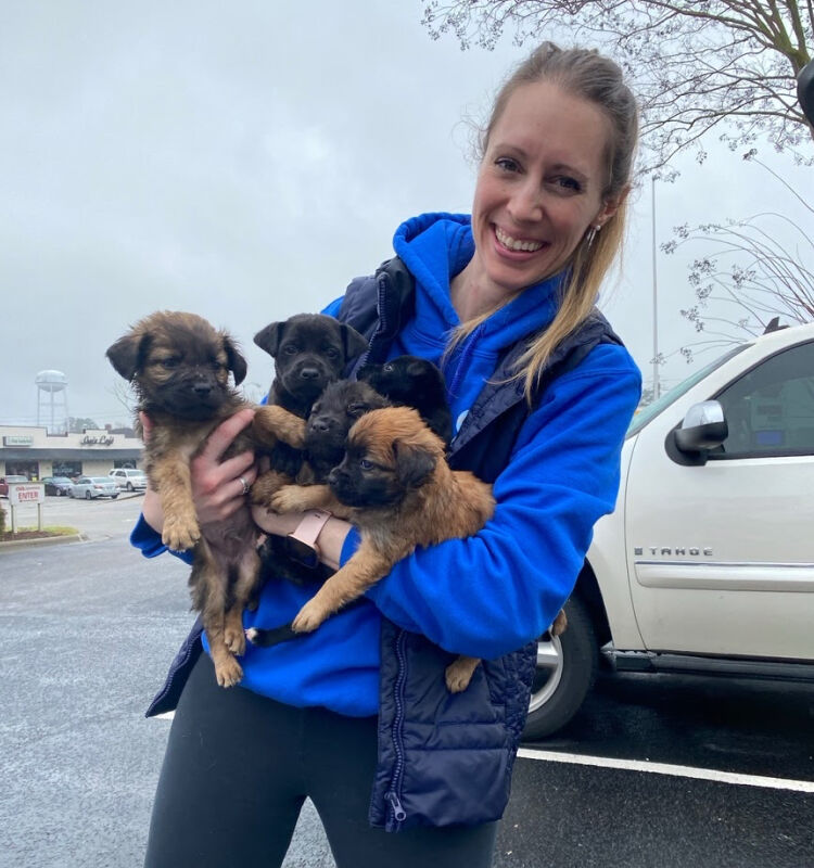 Ollie's Angels worker holding puppies