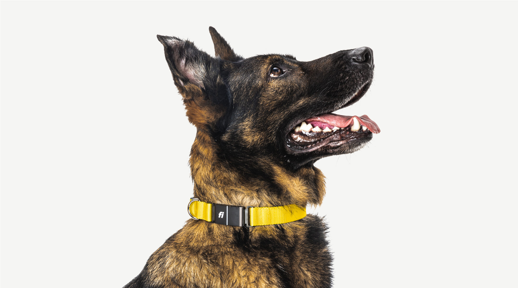 Finster dog GPS tracker