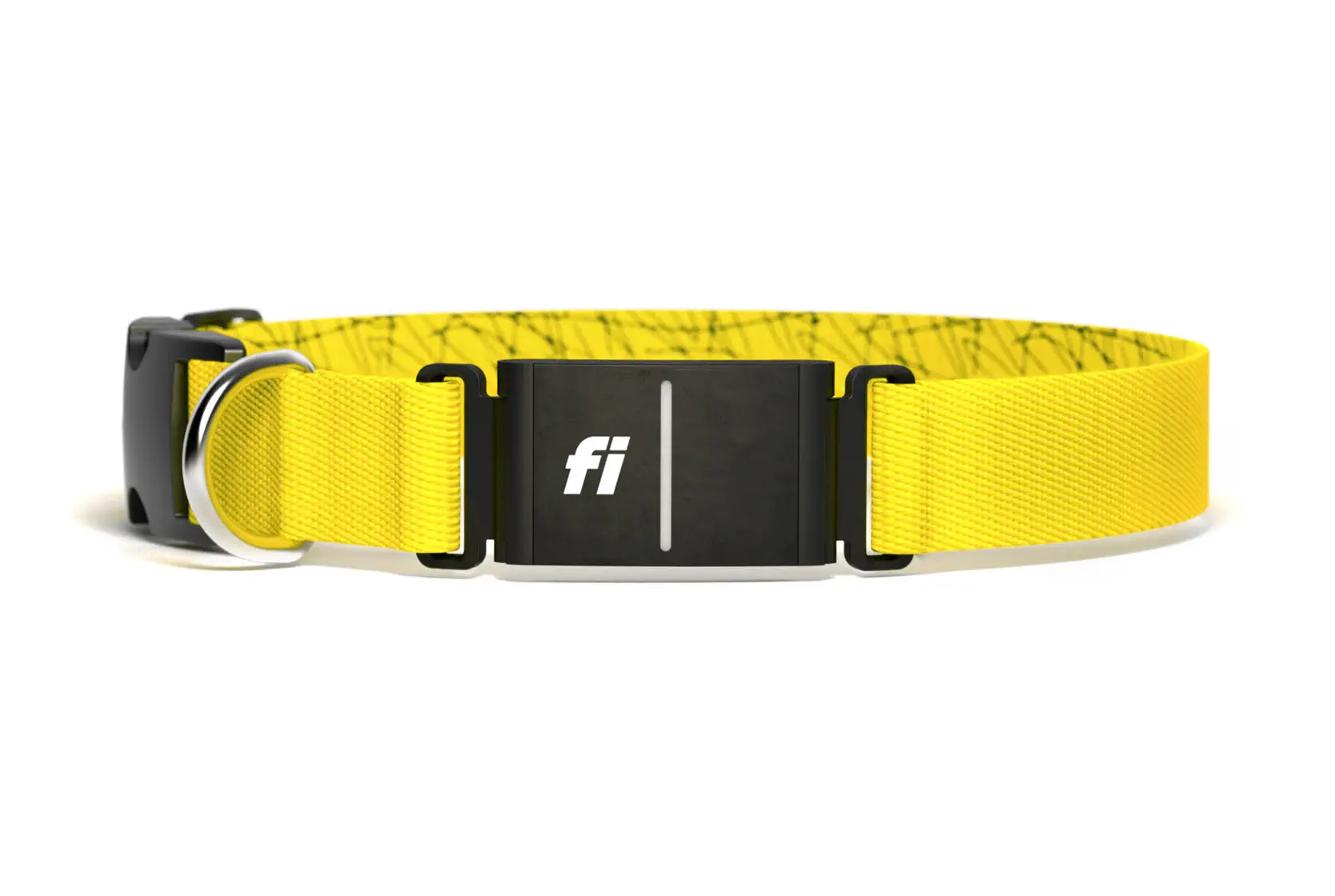 Fi Smart Collar for dogs