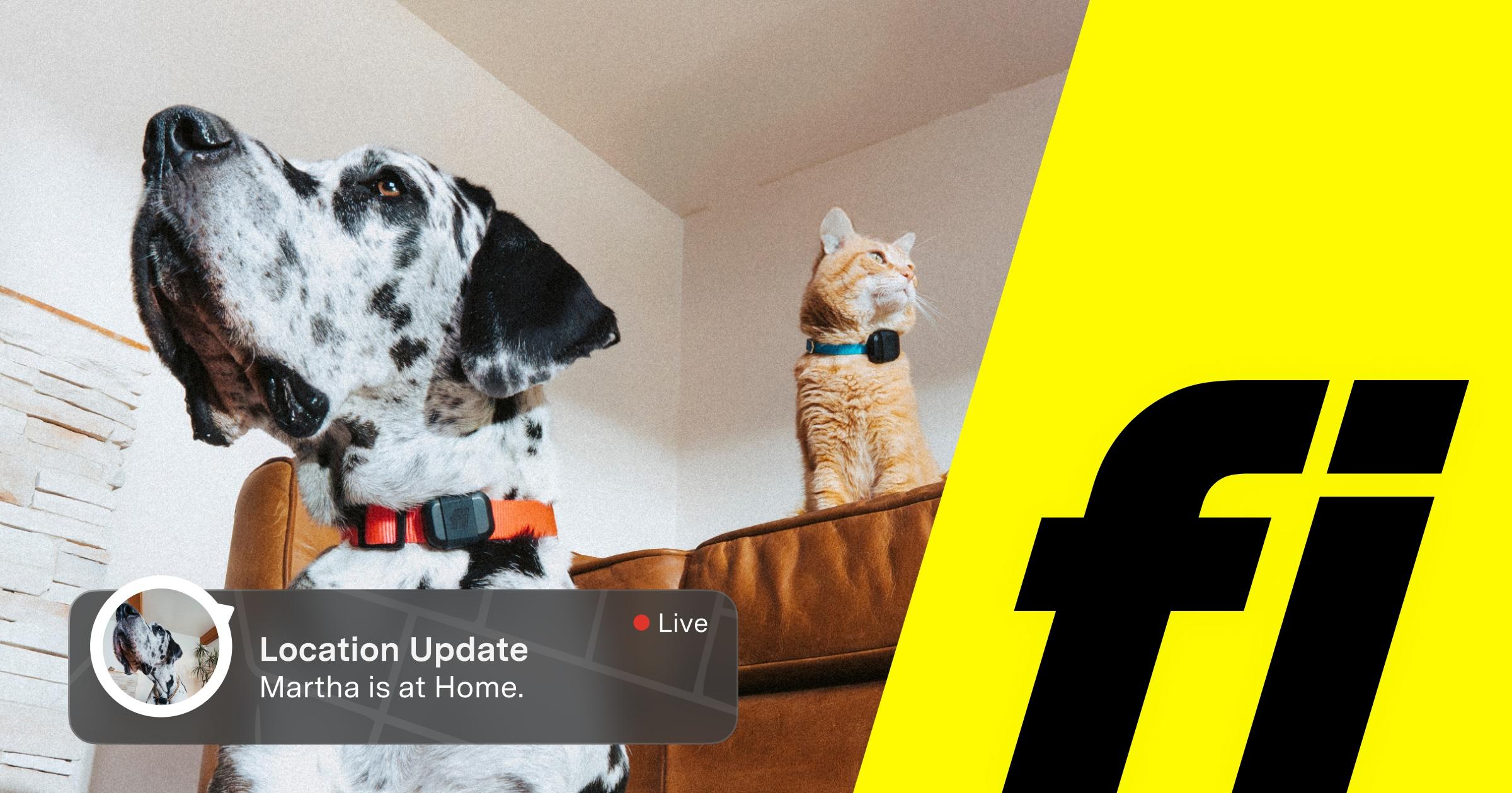 tryfi.com