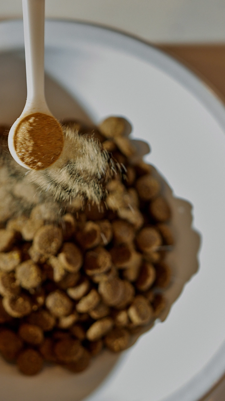 Supplement powder being poured over food